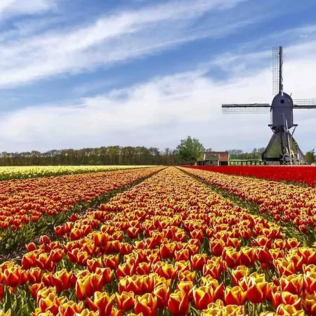 Appartement Haarlemenmeer *