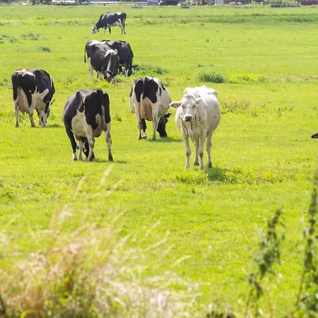 Appartement Haarlemenmeer Cruquius