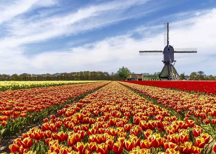 Appartement Haarlemenmeer *