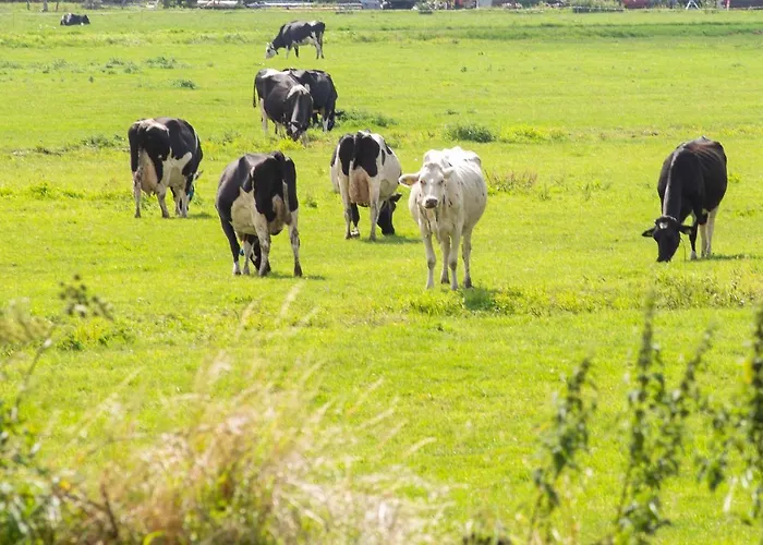 Appartement Haarlemenmeer Cruquius