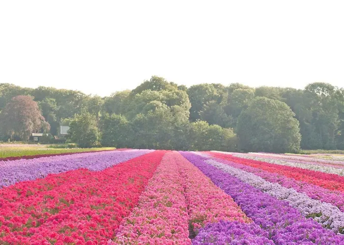 Appartement Haarlemenmeer *